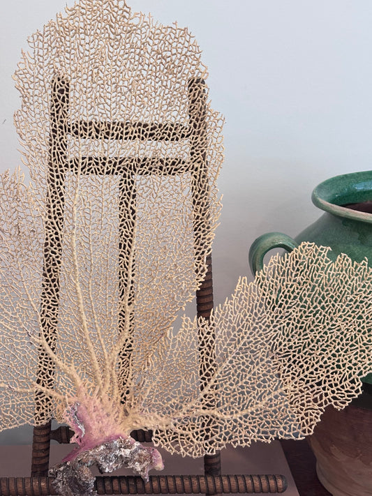 Vintage Sea Fan Coral (Large)