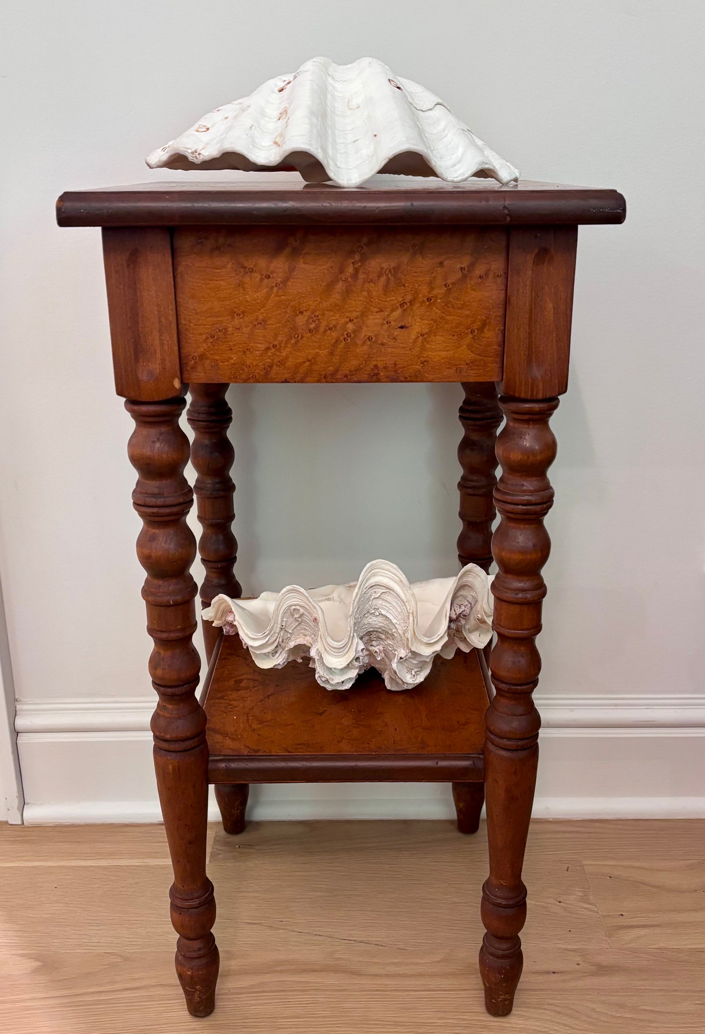 Vintage Giant Clam Shell (barnacles)