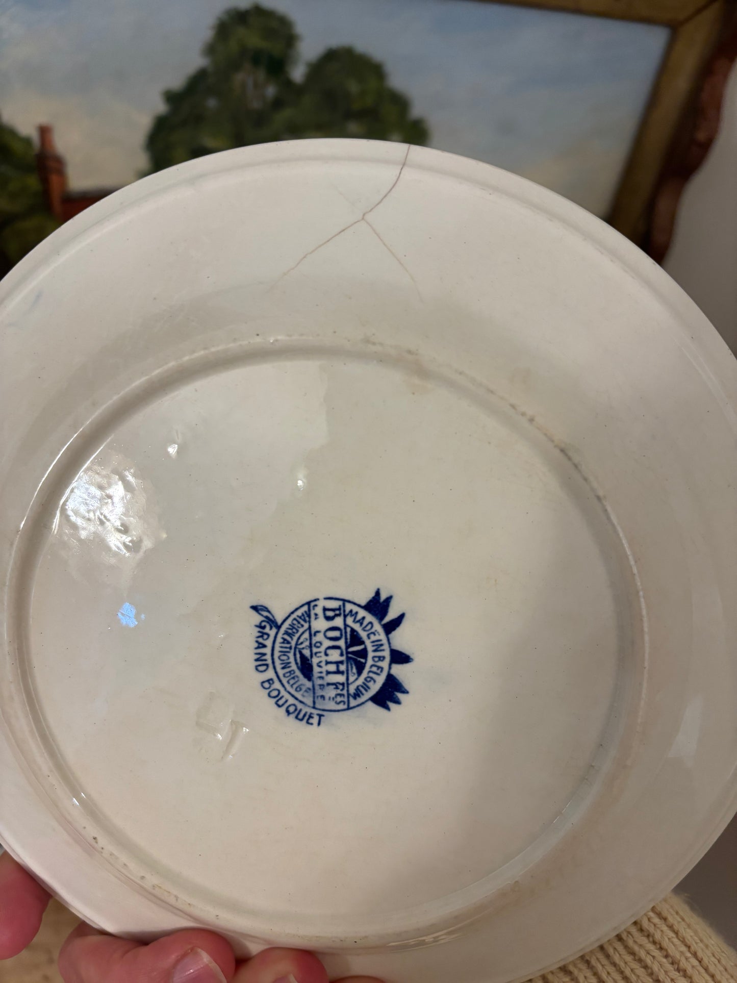 Set of 5 Vintage Belgian Dessert Plates