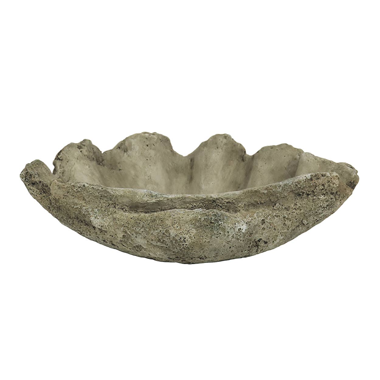 Cast Concrete Clam Shell: Small