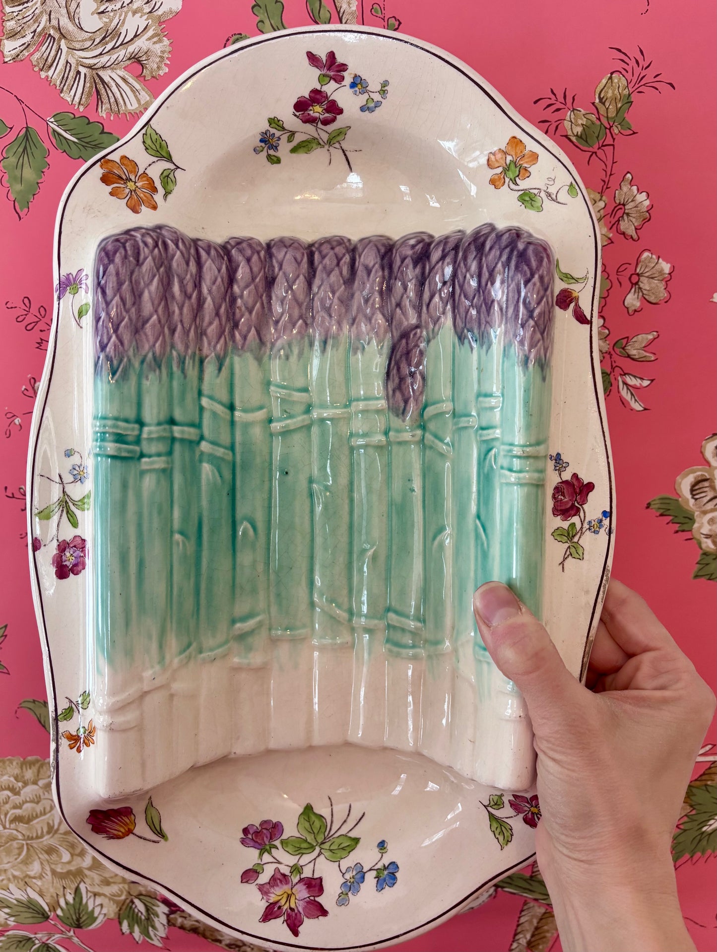 Antique Asparagus Platter by Longchamp "Pompadour"