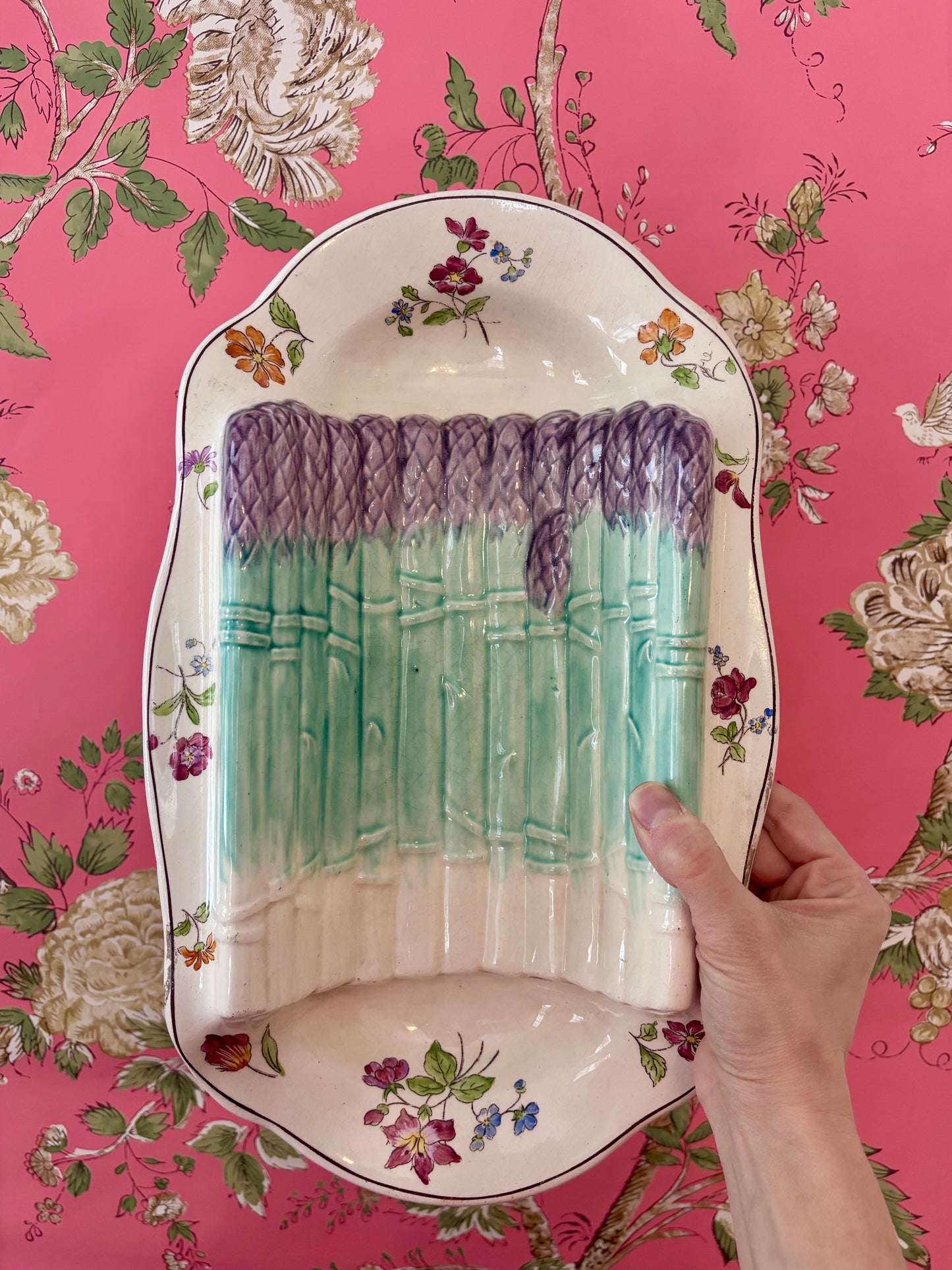 Antique Asparagus Platter by Longchamp "Pompadour"