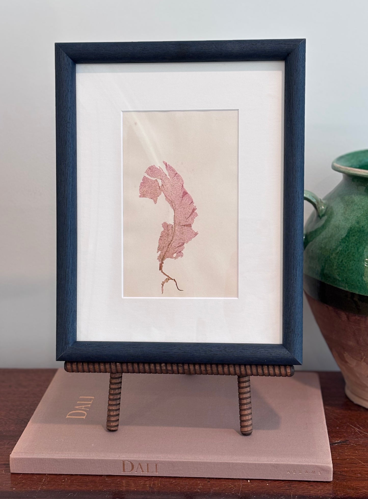 1800s Pink Seaweed Specimen in Custom Frame
