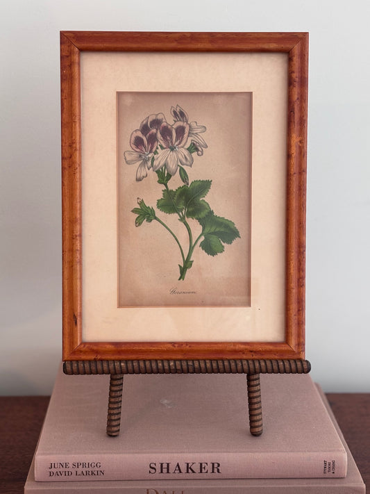 Vintage Geranium Print in Burl Wood Frame