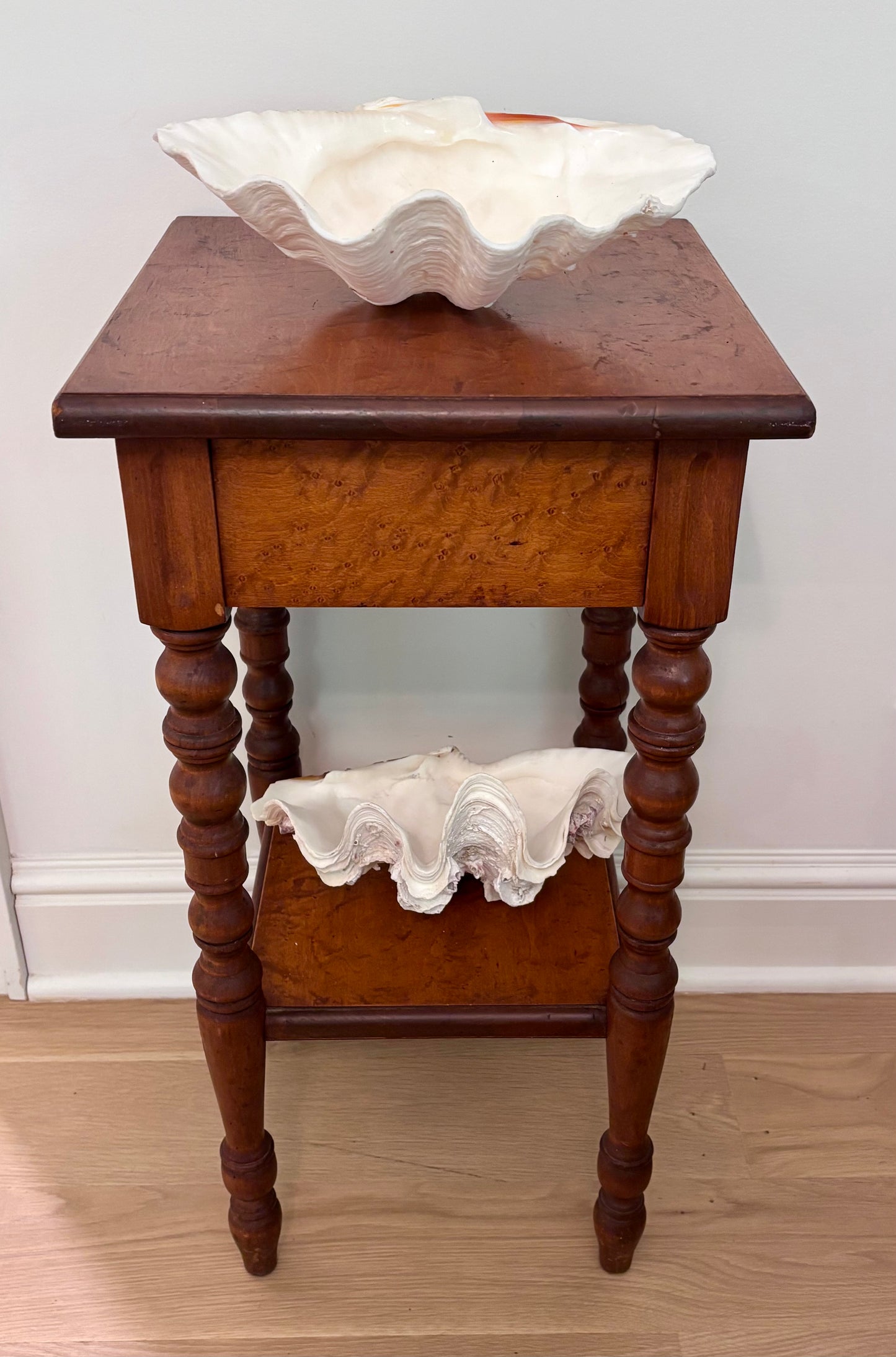 Vintage Giant Clam Shell (swirls)