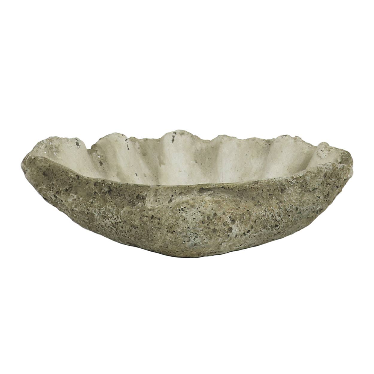Cast Concrete Clam Shell: Small